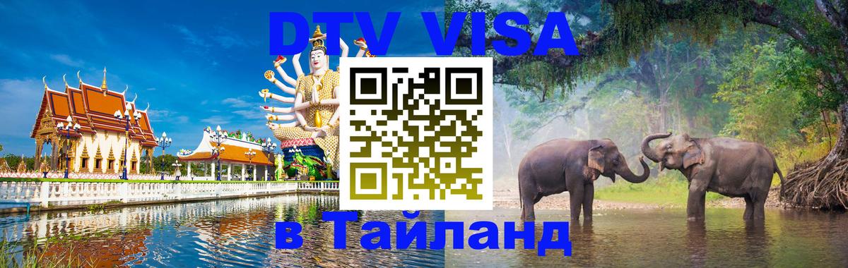 Сколько стоит DTV виза — актуальные цены, оформление даже без документов - Мурино  21.11.2025 